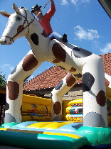 Cowboy Hüpfburg mit Pferd in Brehna mieten